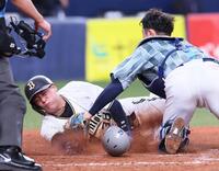 　４回、大城の二ゴロで本塁へ突入するもアウトになる来田（撮影・立川洋一郎）