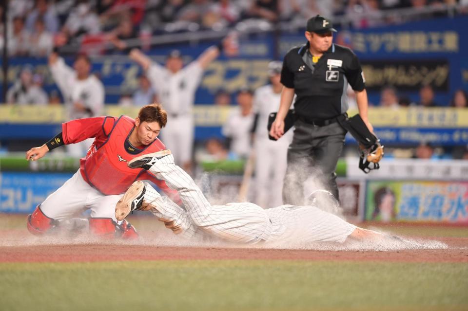 　４回、友杉篤輝の左犠飛で三塁からヘッドスライディングで生還する安田（手前）。捕手・坂倉（撮影・開出牧）