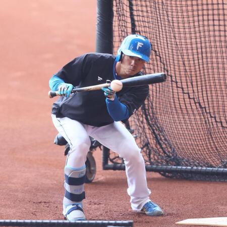 　１軍に合流し、バント練習をする中島（撮影・中島達哉）