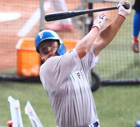 　１軍に合流し、打撃練習をする野村（撮影・中島達哉）