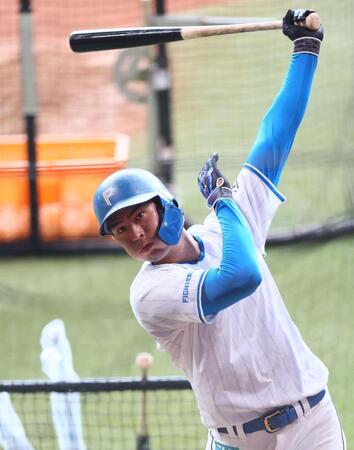 　１軍に合流した宮崎（撮影・中島達哉）