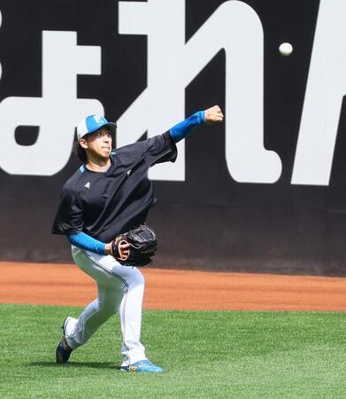 　調整する細野（撮影・中島達哉）