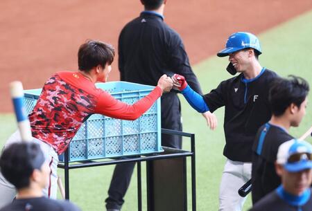 　試合前、小園（左）とグータッチを交わす五十幡（撮影・中島達哉）