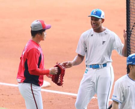 　試合前、小園（左）と談笑する万波（撮影・中島達哉）