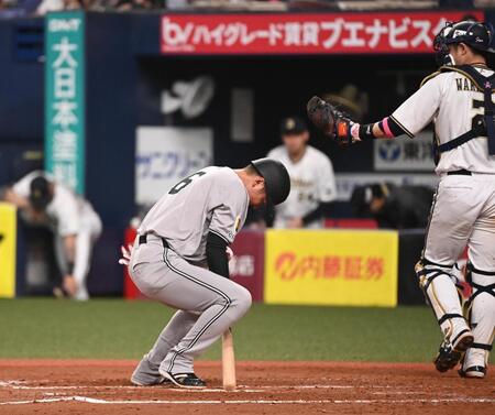 　７回、坂本が空振り三振に倒れる。捕手若月　