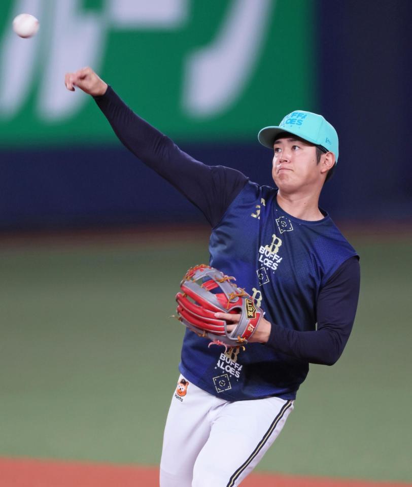 　キャッチボールをする太田（撮影・立川洋一郎）