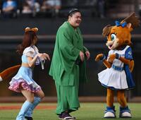 　ファイターズガールときつねダンスを踊る一山本（中央）＝撮影・中島達哉