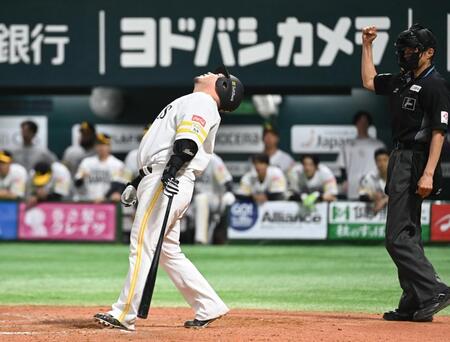 　１２回、山川が空振り三振に倒れ、天を仰ぐ＝１２日