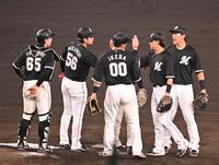 　勝利を喜ぶロッテナイン（撮影・西田忠信）