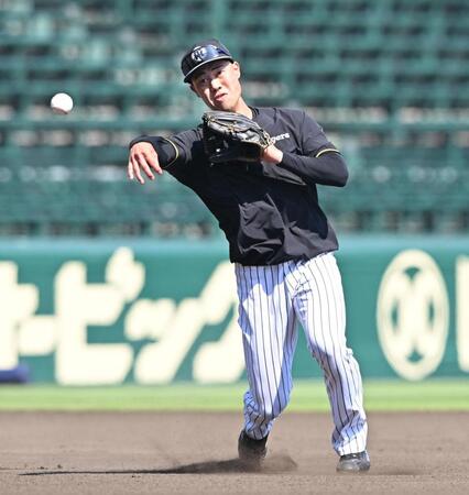 １軍に合流し守備練習する佐野（撮影・西田忠信）