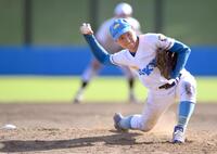 　紅白戦で好投した東大・渡辺向輝（撮影・伊藤笙子）