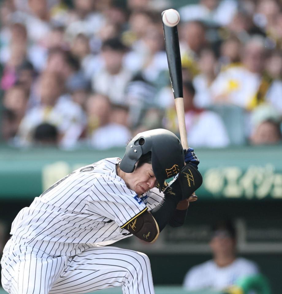 　６回、頭部に死球を受ける中野（撮影・田中太一）