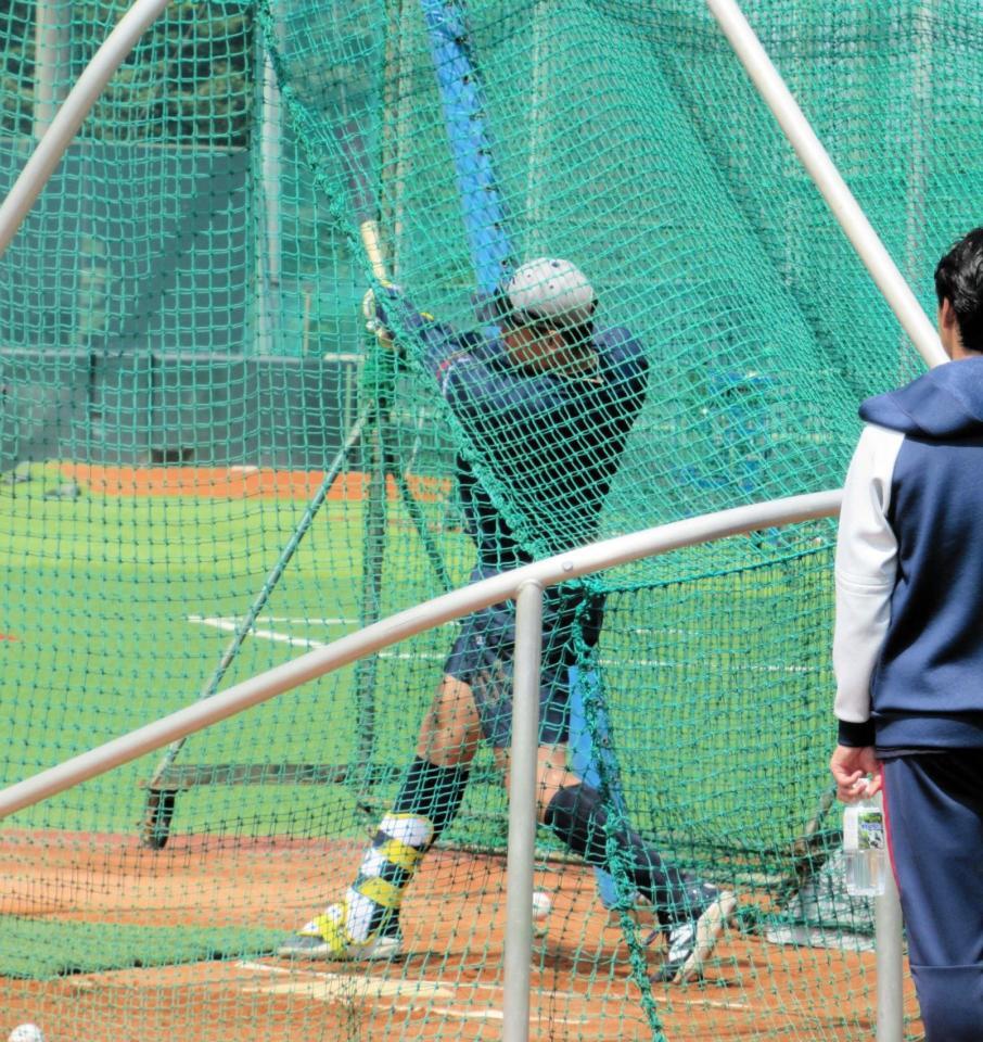 　フリー打撃を再開した村上