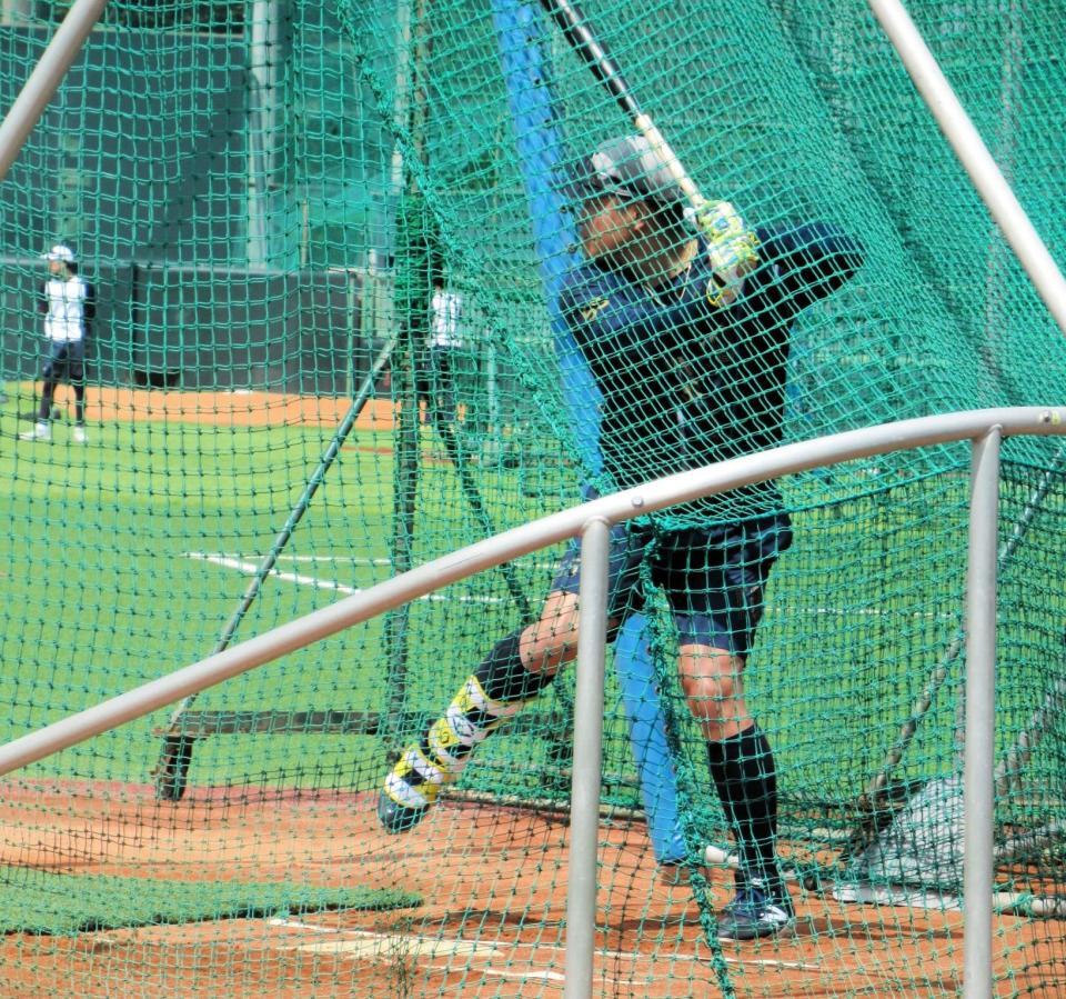 　屋外のフリー打撃を再開した村上