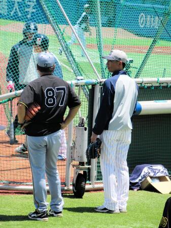 　ケージ裏で話し込むヤクルト・嶋ヘッドコーチ（右）と阪神・野村コーチ