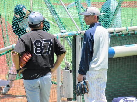 　ケージ裏で話し込むヤクルト・嶋ヘッドコーチ（右）と阪神・野村コーチ