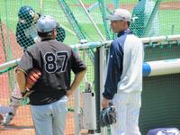 　ケージ裏で話し込むヤクルト・嶋ヘッドコーチ（右）と阪神・野村コーチ