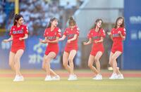 　試合前，ダンスを披露するロッテジャイアンツチアリーダー＆ＷｉｎーＧ（撮影・開出牧）
