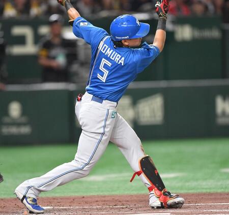 　４回、空振り三振に倒れた野村（撮影・開出牧）