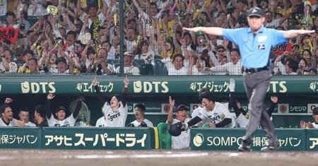 　８回、森下のタッチアウト判定がリクエストの結果、セーフ判定となり、盛り上がる阪神ナイン（撮影・北村雅宏）