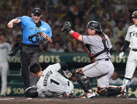 巨人 甲斐が「絶対タッチしてます」「自信はあります」八回のクロスプレー語る 阿部監督が抗議して退場処分に