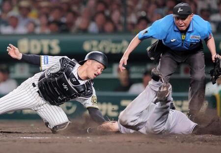 　５回、坂本の左前打で泉口が本塁を突くがタッチアウト