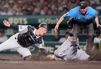 　５回、坂本の左前打で泉口が本塁を突くがタッチアウト