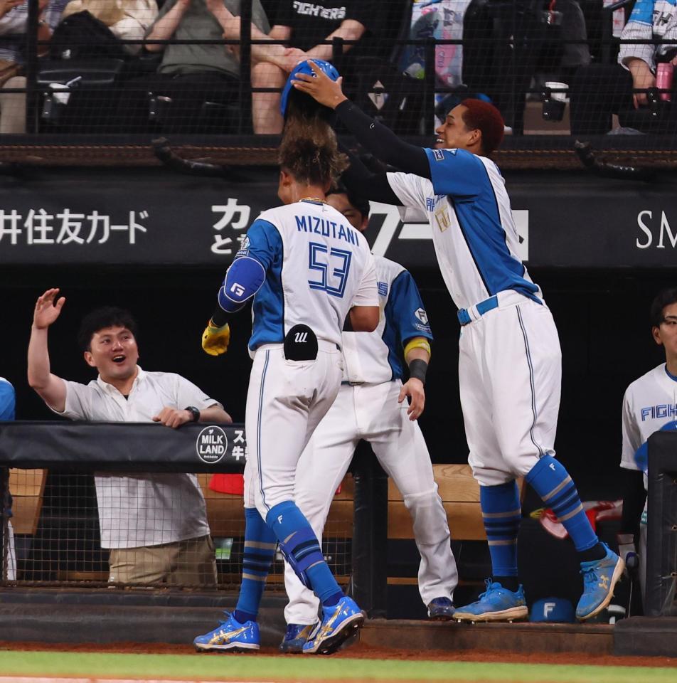 　７回、ソロを放った水谷（中央）のヘルメットを取る万波（右）＝撮影・中島達哉