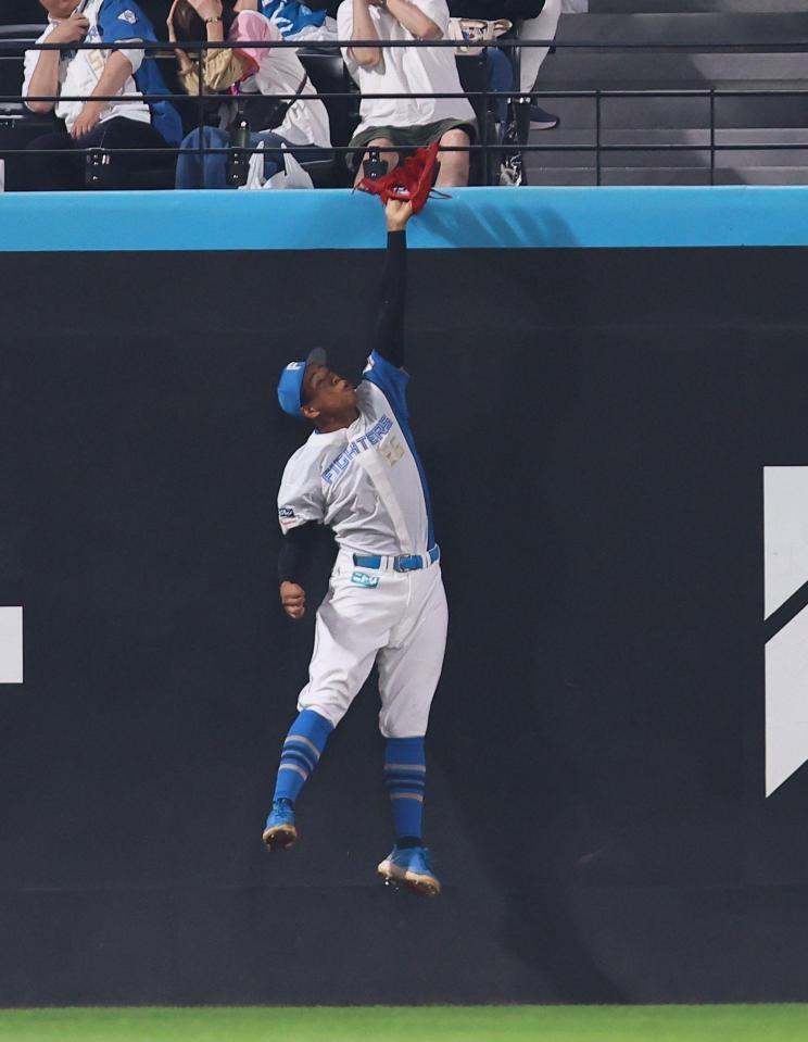 　３回、ボイトの打球をフェンス際でジャンピングキャッチする万波（撮影・中島達哉）