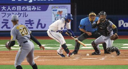 　４回、送りバントを失敗する度会（撮影・金田祐二）