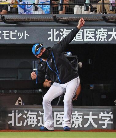 　２回、レイエスが逆転満塁本塁打を放ち、ポーズを決めて迎える新庄監督（撮影・中島達哉）