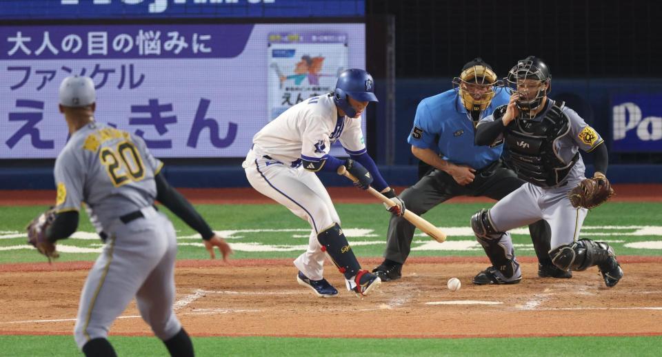 　４回、送りバントを失敗する度会（撮影・金田祐二）