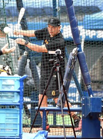 　フリー打撃を行う阿部監督（撮影・佐藤厚）