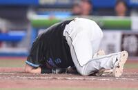 　９回、頭部に死球を受けうずくまる安田（撮影・開出牧）