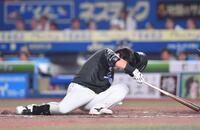 　９回、頭部に死球を受けた安田（撮影・開出牧）