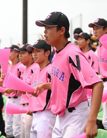 　桜色のＴシャツの左袖に喪章をつけスタンドで応援する佐倉の野球部員（撮影・開出牧）