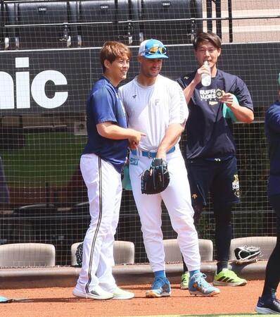 　試合前、マルティネス（中央）に前日の死球を謝罪する九里（左）＝撮影・中島達哉