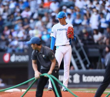 　４回が始まる前のグラウンド整備の水まきを待つ福島（撮影・中島達哉）