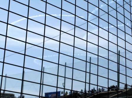 【写真】なぜ？大阪大会で五回終了時に珍事　観客が野球そっちのけで空に夢中