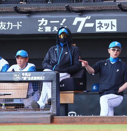 　サングラスをかけてフードを被り、戦況を見つめる新庄監督（中央）＝撮影・中島達哉