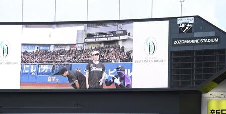 　ロッテファンの公開プロポーズを映し出す電光掲示板。スタンドは大盛り上がり（撮影・開出牧）