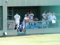 　初戦を突破した履正社ベンチ。左から２人目は多田晃監督