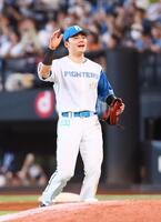 　勝利をあげ、ナインの元に駆け寄る清宮幸＝１２日