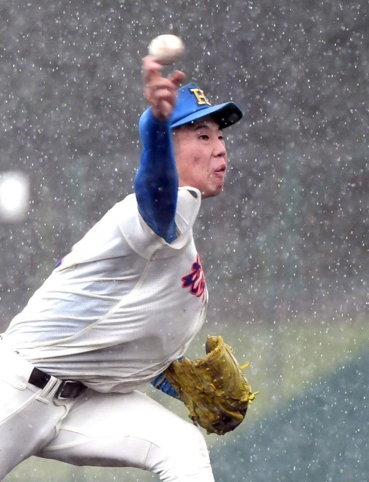 　降りしきる雨の中、力投する花咲徳栄・田島蓮夢（撮影・佐藤厚）