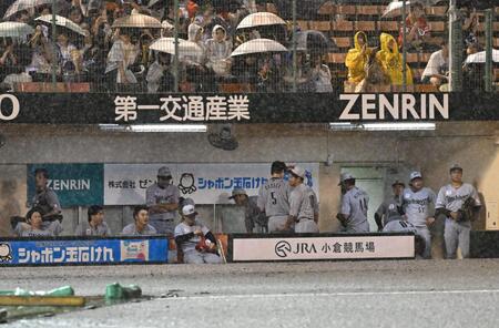 　雨天コールドで引き分けとなりぼうぜんとするロッテベンチ
