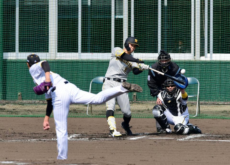 　紅白戦で藤浪からホームランを打つ佐藤輝＝２０２２年２月５日