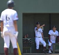 　ベンチからサインを出す桐光学園・野呂監督（左から２人目）＝撮影・持木克友