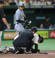 　３回、負傷しうずくまる甲斐（撮影・西岡正）