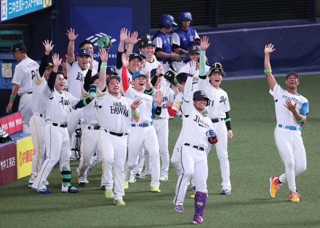 早い者勝ち！オリーライフ　テラポット　新品 ピテットライプオリーブ - S＝Oアクセントフーズ