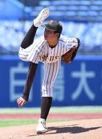 　早実打線に立ち向かう国士舘・杉本（撮影・佐藤厚）